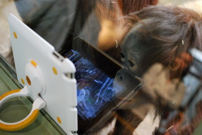 Cea mai asteptata tehnologie din lume, lansata in 2013