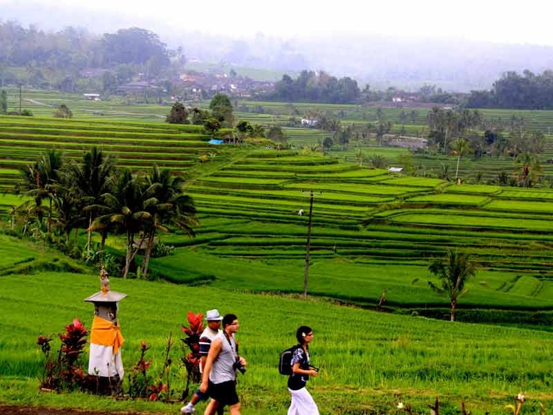 Bali Province&rsquo;s Subak System