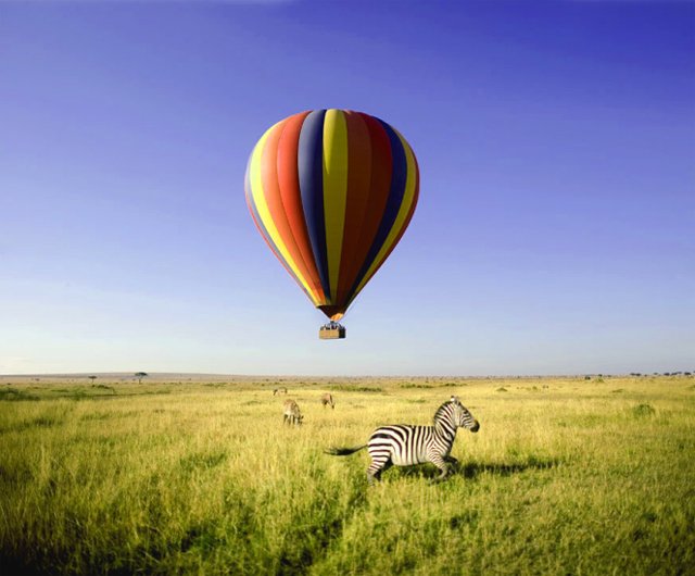 balloon shows