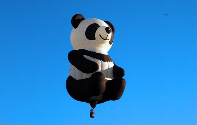 balloon shows