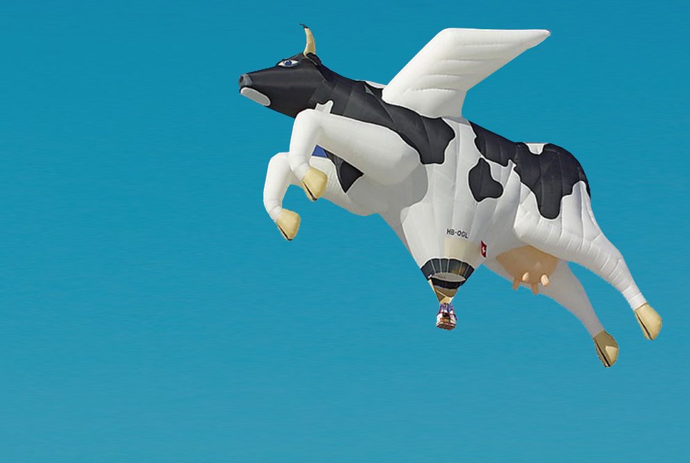 balloon shows