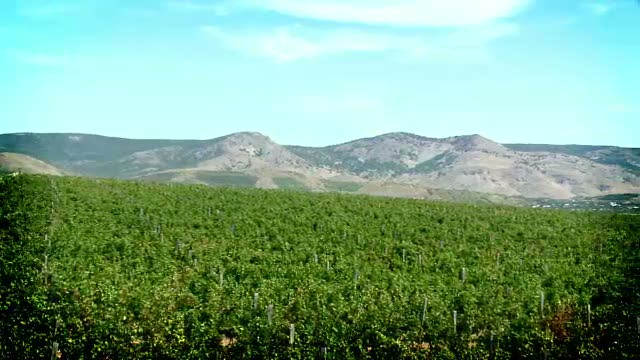 Macin, taramul de poveste care i-a cucerit pe italieni. Acum ei ne invata cum sa ne vindem marfa