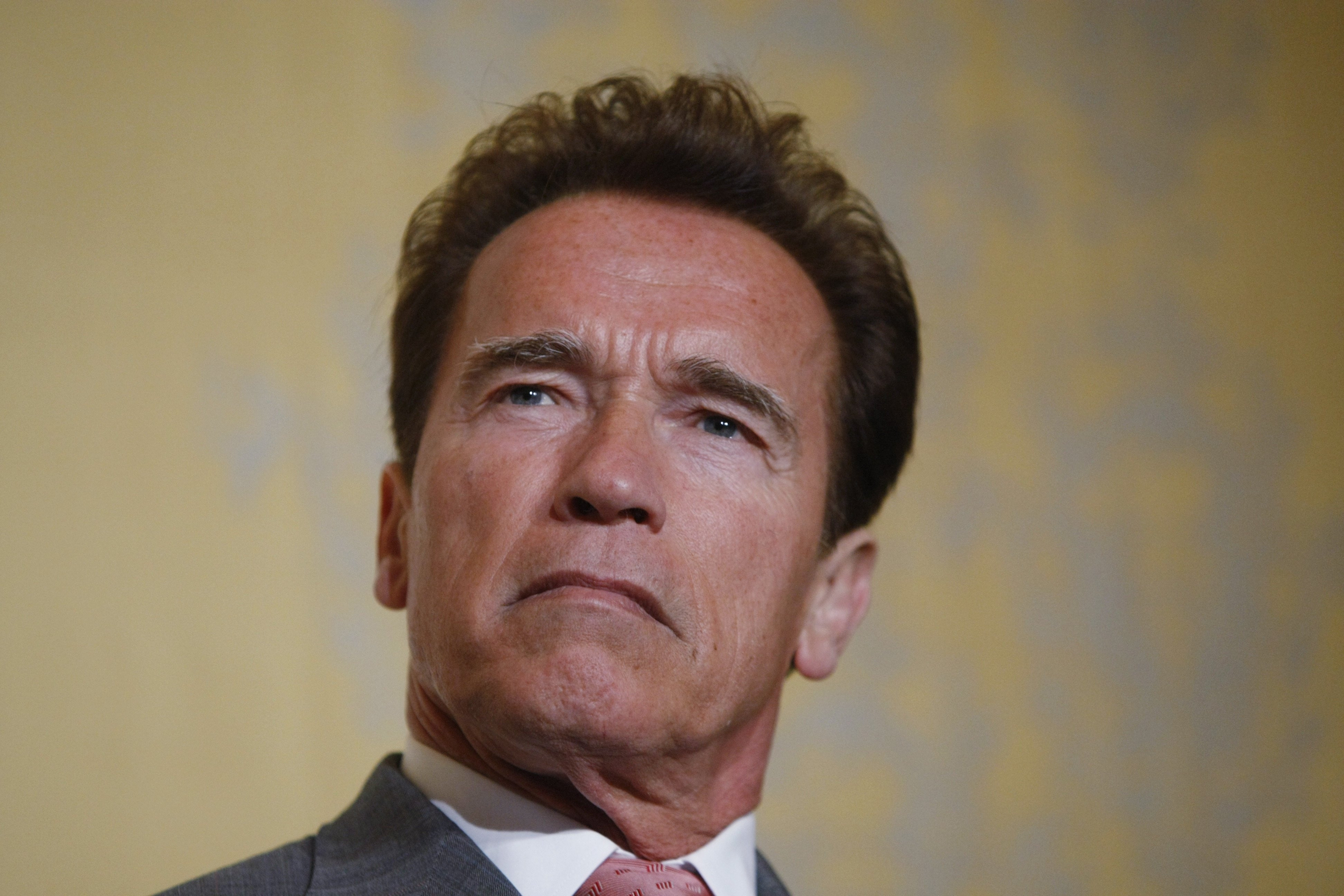 Arnold Schwarzenegger