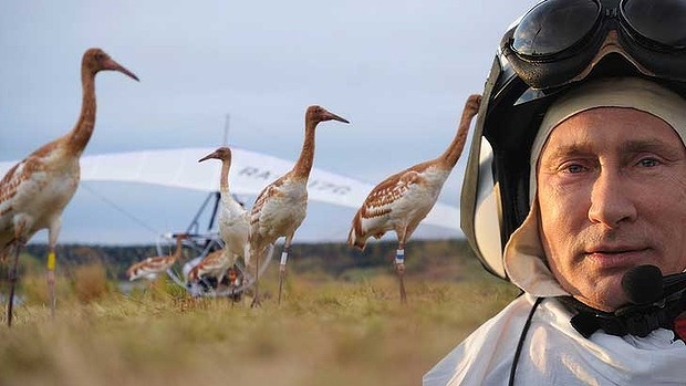 Putin a zburat cu deltaplanul alaturi de un stol de cocori siberieni! VIDEO