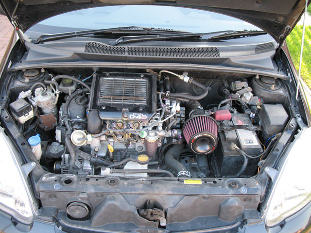 A supravietuit doua saptamani in motorul masinii stapanei. Povestea ciudata a unei pisici norocoase