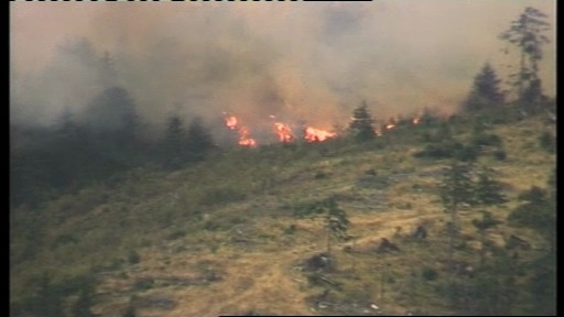 10 hectare de padure ard de cateva zile in Mures. In Muntii Ghiurghiului au aparut noi focare