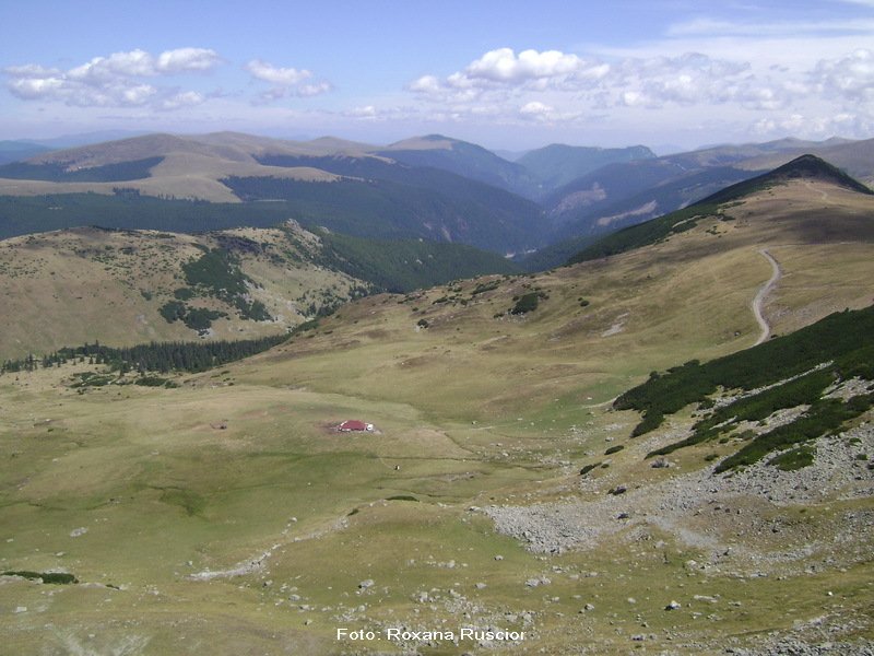 Transalpina, peisaje - 4
