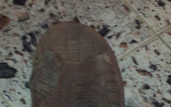 N-ai mai vazut asa ceva. Descoperire URIASA, la propriu, facuta de un roman, la 1 metru SUB PAMANT