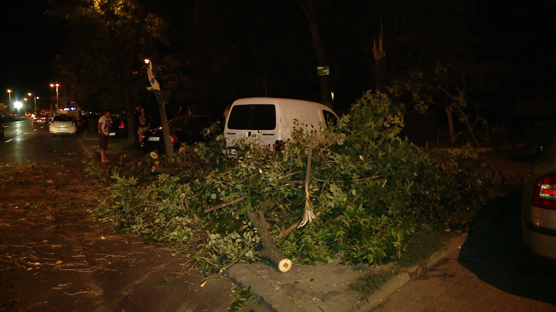 Un copac inalt de cativa metri s-a rupt in doua si s-a prabusit peste o masina