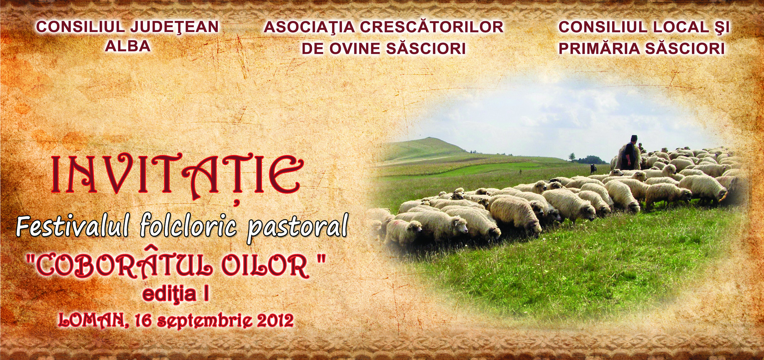 Pastorii din Alba isi coboara oile de la munte pentru iernat