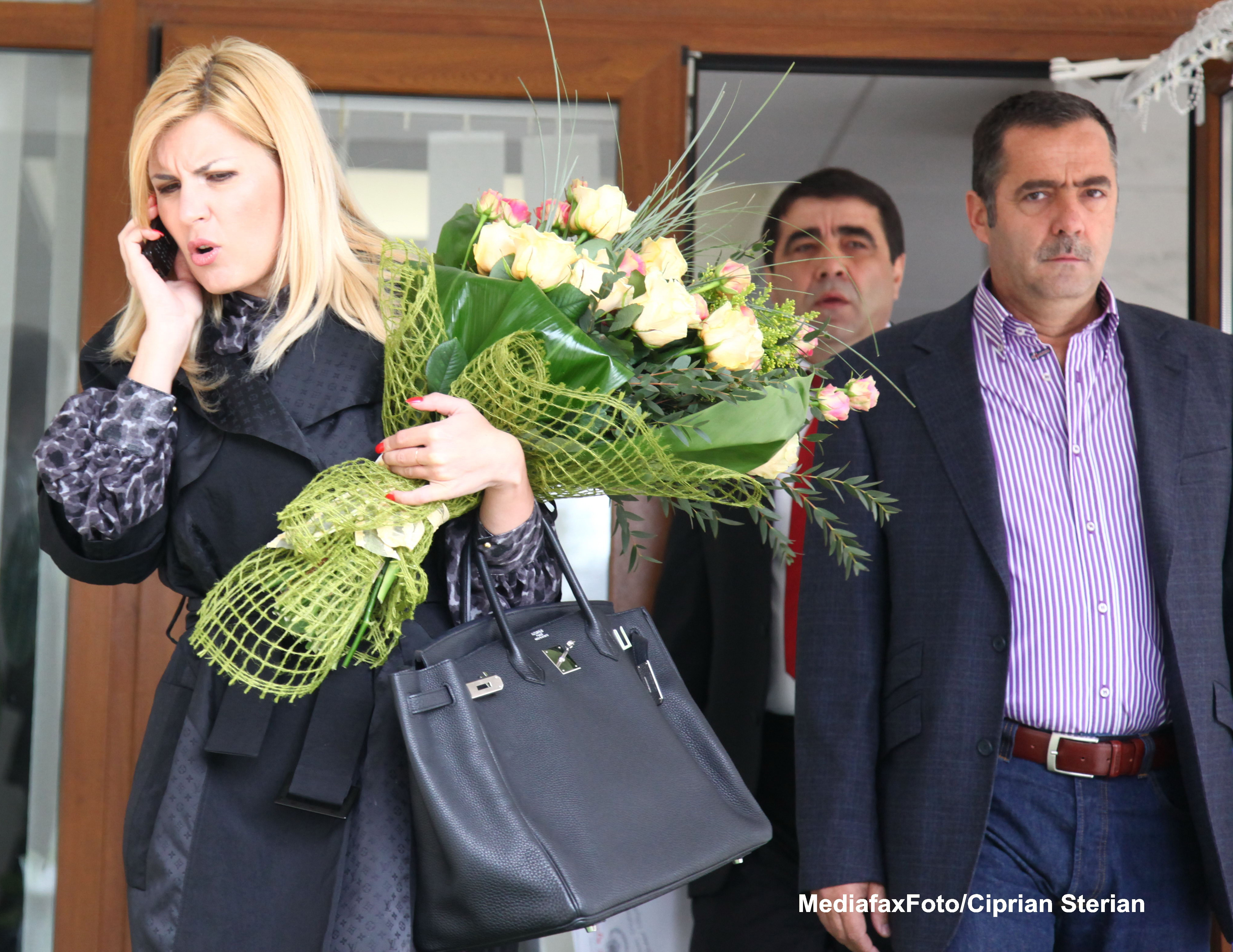 Preda, aluzie la Udrea: PDL va creste in sondaje, daca o colega iesita din peisaj nu mai vorbeste