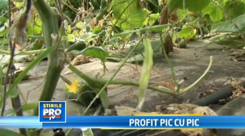 Investitiile i-au scapat de faliment.Au castigat 4.000 de lei/luna din agricultura, in ciuda secetei