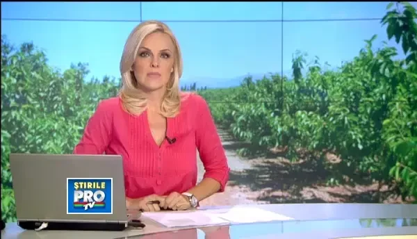 Ursul care a atacat TREI persoane, localizat. Ministrul Mediului: Femeia ranita e ruda cu mine