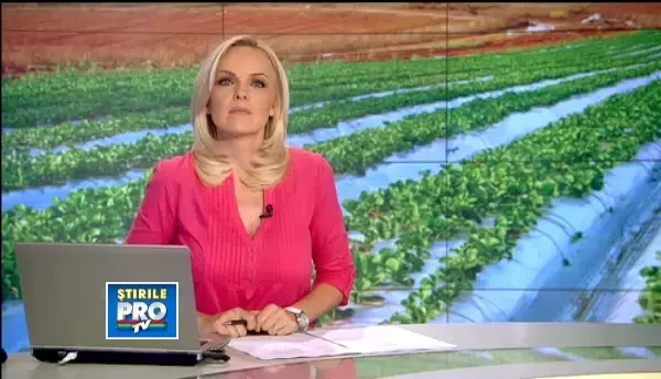 Investitiile i-au scapat de faliment.Au castigat 4.000 de lei/luna din agricultura, in ciuda secetei