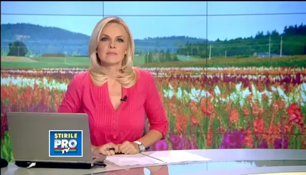 Un roman face concurenta gradinarilor Europei. Exporta mii de tone de flori tocmai in Olanda