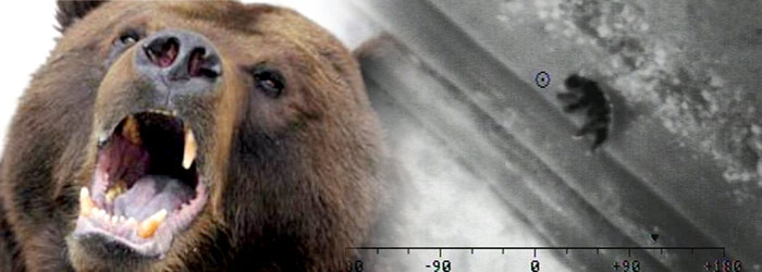 IMAGINI din elicopterul MAI. Cum a decurs actiunea de cautare a ursului care a atacat trei oameni