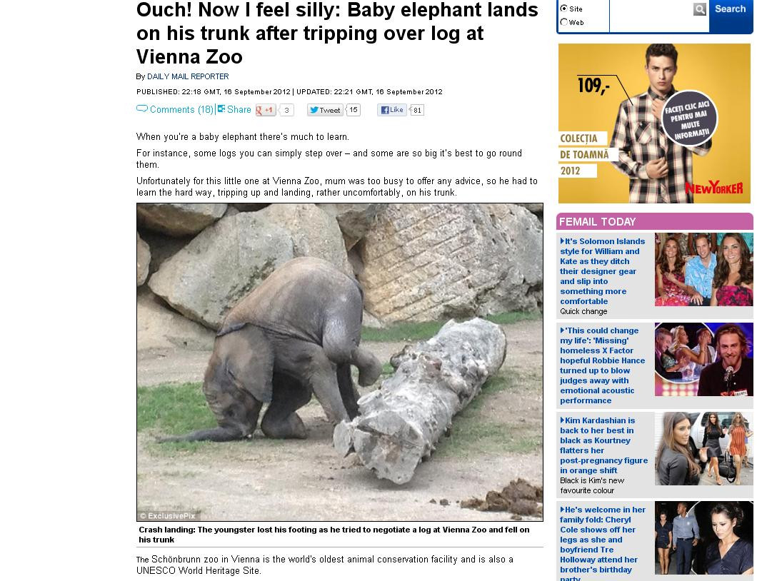 Puiul beat de elefant care a atras toate privirile la ZOO. Cum i-a facut pe toti sa rada