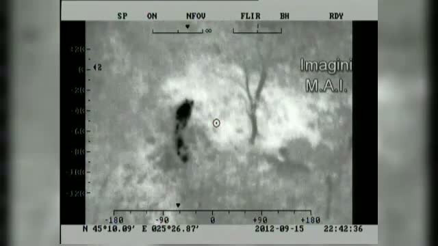 Dambovita, inca in stare de alerta. Exista riscul ca ursul sa fi transmis rabia catre alte animale