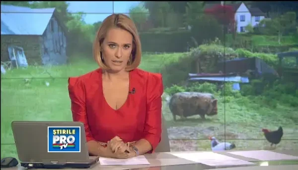 Dambovita, inca in stare de alerta. Exista riscul ca ursul sa fi transmis rabia catre alte animale