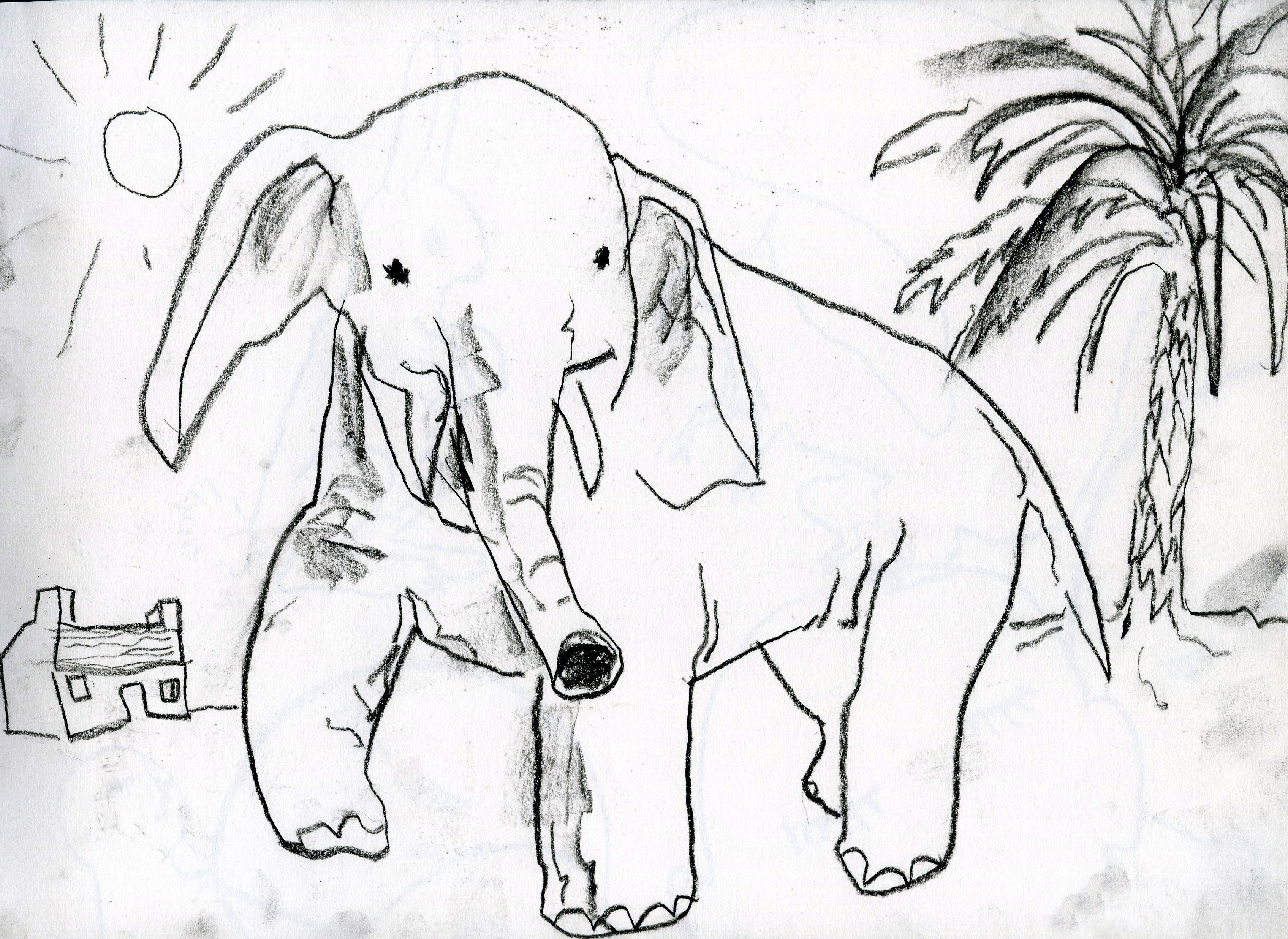 Elefantica Tania isi asteapta vizitatorii la cea mai mare gradina zoologica din Romania