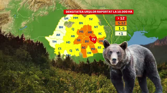 Cum au ajuns padurile din Romania suprapopulate cu animale si ce pericole se nasc din aceasta cauza