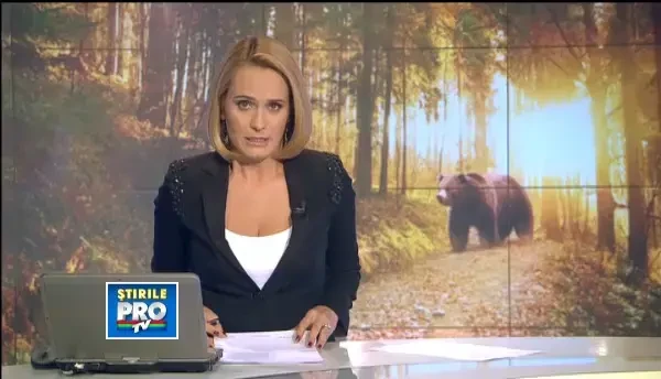 Ursul care a omorat un om in Dambovita cazuse in capcana montata de un braconier