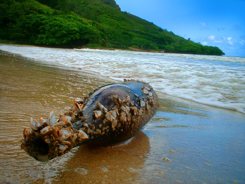 Mesajul in sticla al unei britanice, aruncat in apa acum 20 de ani, a fost gasit in Norvegia