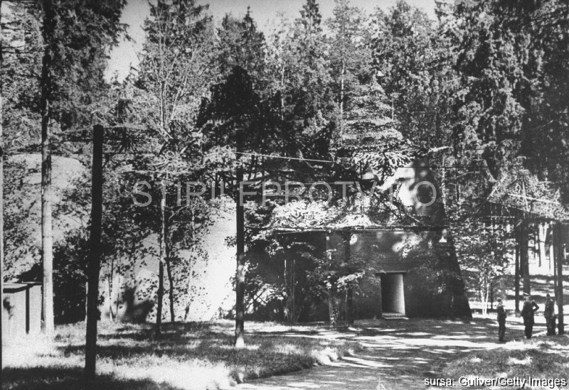 buncar, Adolf Hitler, Barlogul Lupului