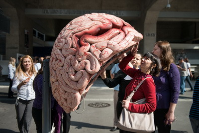 Alimentele care te vor face si mai destept