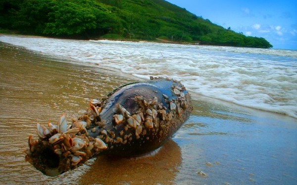 A fost gasita dupa ce aproape 100 de ani a plutit pe Oceanele Lumii. Uite ce mesaj a descoperit acest pescar intr-o sticla