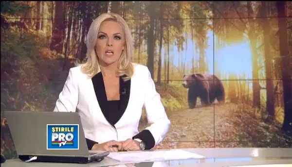 Ursul care a ATACAT doi padurari era turbat. Ce masuri iau autoritatile pentru a proteja animalele