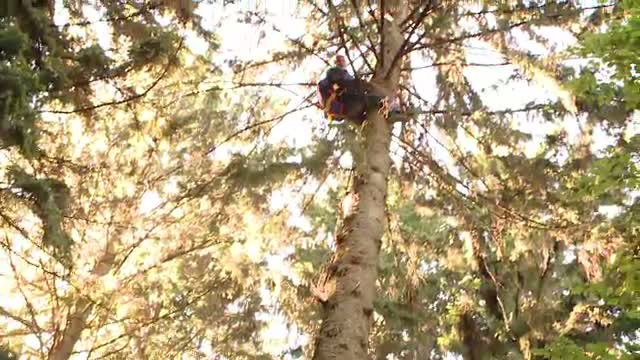 Distractie periculoasa pentru un tanar din Brasov. Era sa isi piarda viata dupa un zbor cu parapanta