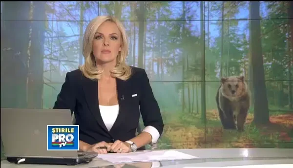 Ursul din Dambovita LOVESTE din nou. Ce explicatie au specialistii pentru comportamentul agresiv