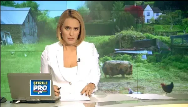 Un baiat de 13 ani din judetul Hunedoara a ajuns la spital dupa ce a fost lovit in cap cu o lopata