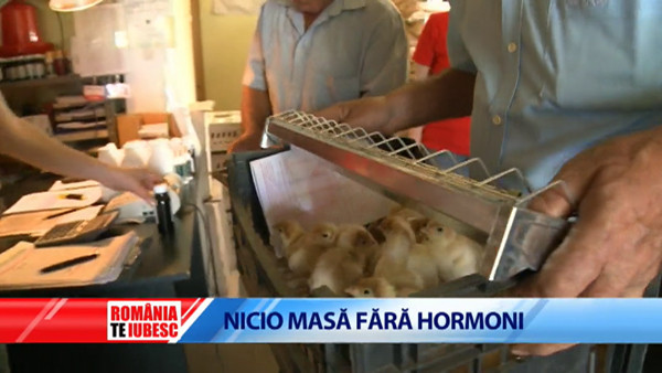 Romania, te iubesc: Cum ajung hormonii, "nutretul" din epoca fast food, sa ne distruga sanatatea