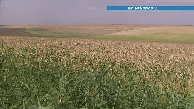 Ancheta despre agricultura si sistemul de irigatii la "Romania, te iubesc!"