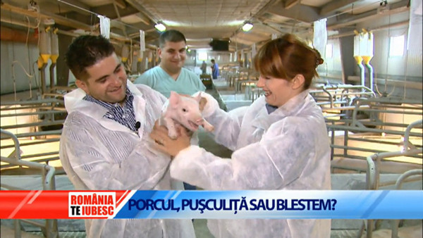 Romania, te iubesc: Cum a distrus statul porcul romanesc, de unde importam fripturile si cati bani scoatem din buzunar