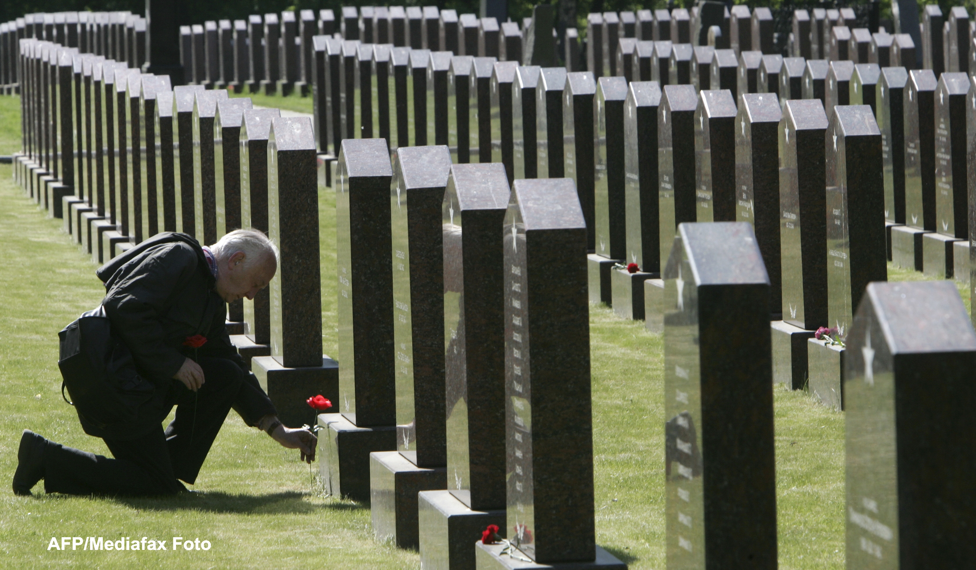 Ce a descoperit un barbat intr-un cimitir, in timp ce isi plimba cainele. FOTO