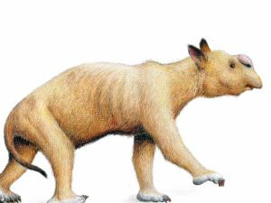 Creatura preistorica descoperita in Australia. "Arata ca un hamster urias". FOTO