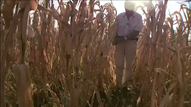 RTI - Agricultura