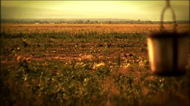 Noul sezon "Romania, te iubesc!" debuteaza cu o ancheta despre agricultura si sistemul de irigatii