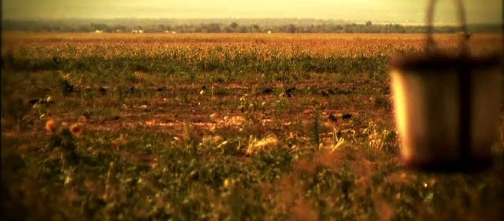 Romania, blestemul pamantului. PARTEA I. Cum a ajuns o tara care ar putea hrani Europa la mila ploii