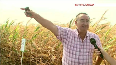 Romania, blestemul pamantului. PARTEA II. Jaful din ANIF, institutia care se ocupa de irigatii