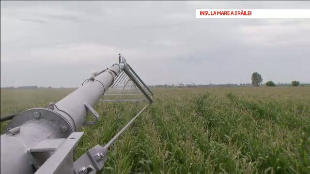 Romania, blestemul pamantului - III. Romanii care au inteles cum pot sa faca bani din agricultura
