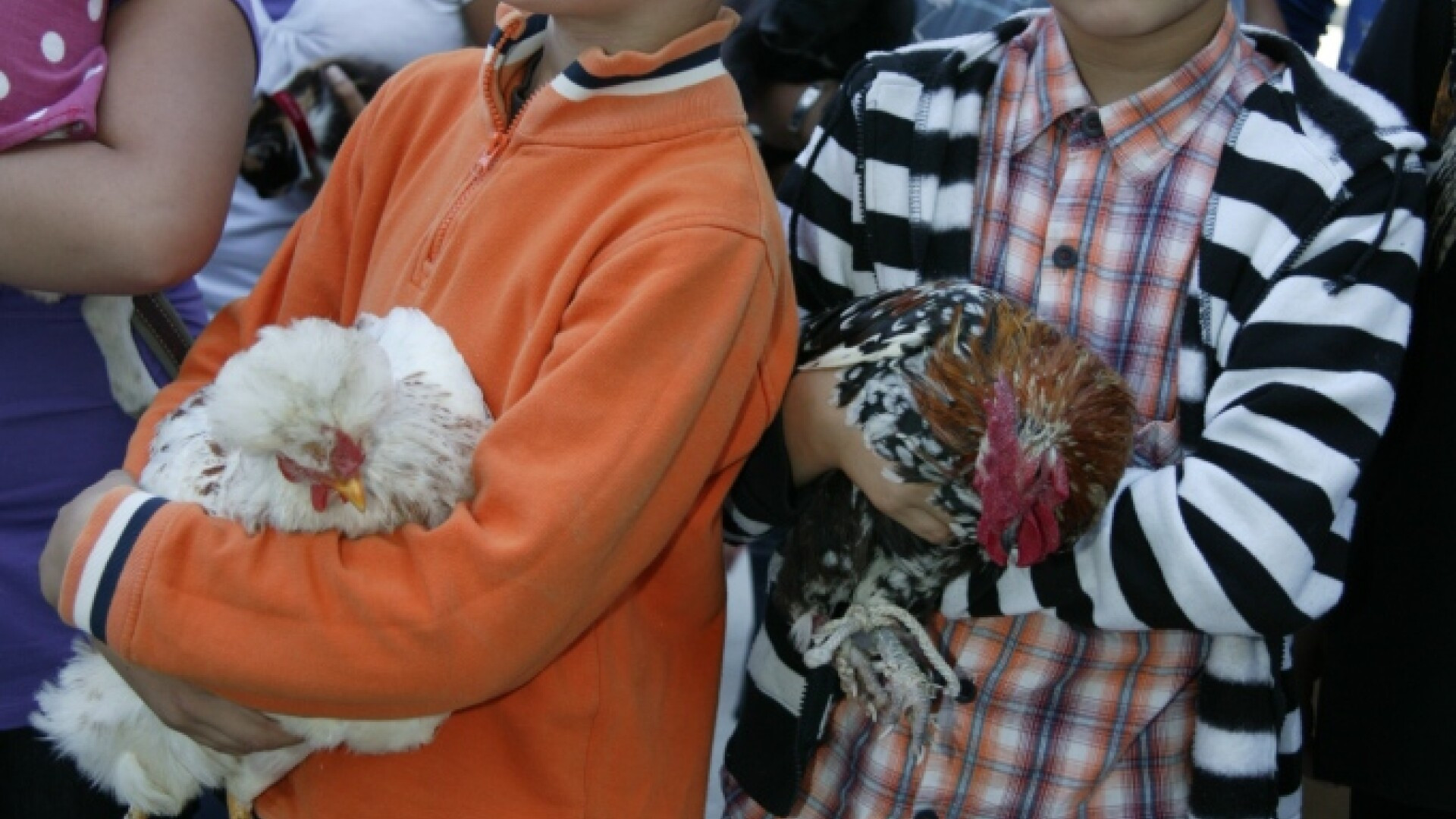 Ai catel, purcel, pisica, veverita sau orice animal de companie? Esti asteptat la un concurs inedit