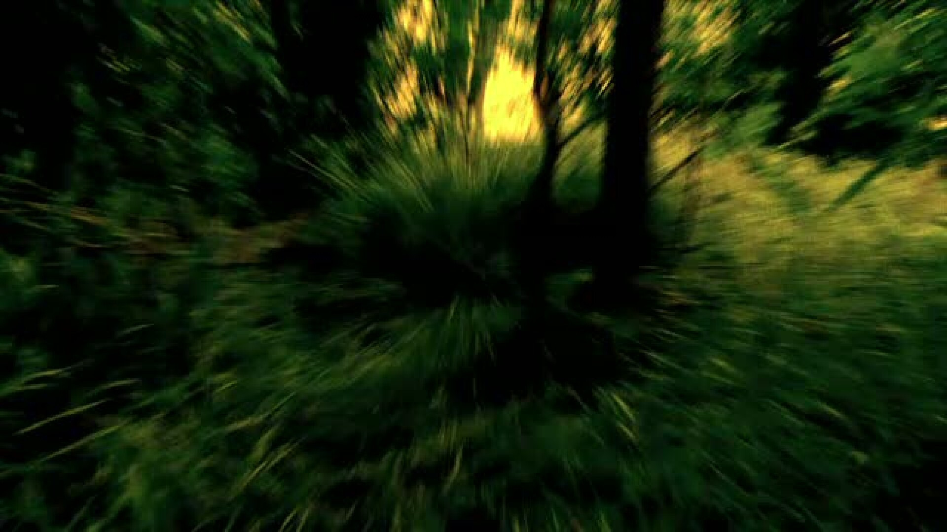 Le-a facut copiilor o fotografie. Detaliul pe care l-a vazut femeia cand a privit cu atentie imaginea. FOTO