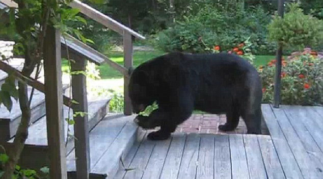 Ce SIMPLU este! CUM scapi de URS: Femeia din clip stie cel mai bine :) VIDEO