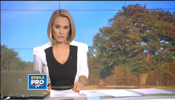 Productia romaneasca de castane, sub asteptari. Fructele sunt putine, amare si scumpe