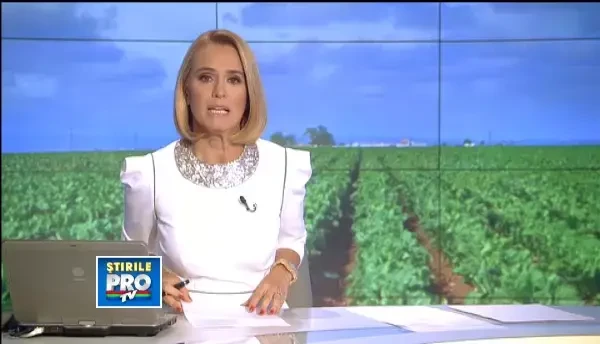 Am crezut ca ma imbogatesc. Cum s-a naruit visul fermierilor care au mizat pe conopida in 2012