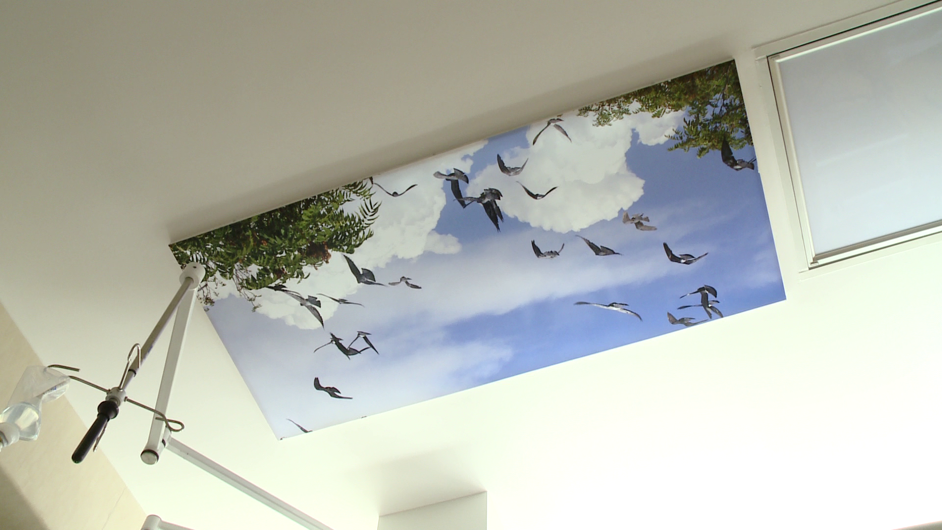 Terapie prin imagini la Sectia ATI de la Spitalul Judetean. Ce vad pacientii cand ies din coma